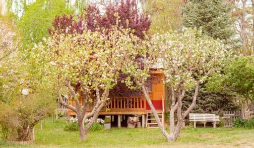 Hosteria La Farfalla 초스 말랄 외부 사진